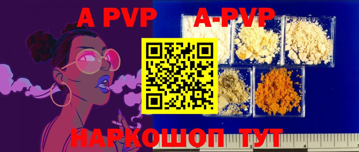 Alfa_PVP СК Усть-Джегута