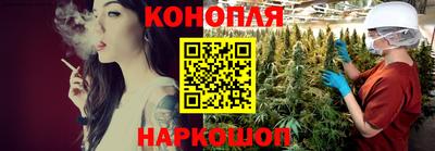 mdpv Краснознаменск