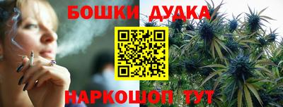 СК Краснодар