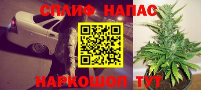 СК Краснодар